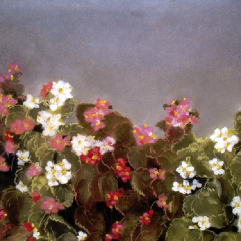Begonias
18x24
SOLD - Collector in Missouri